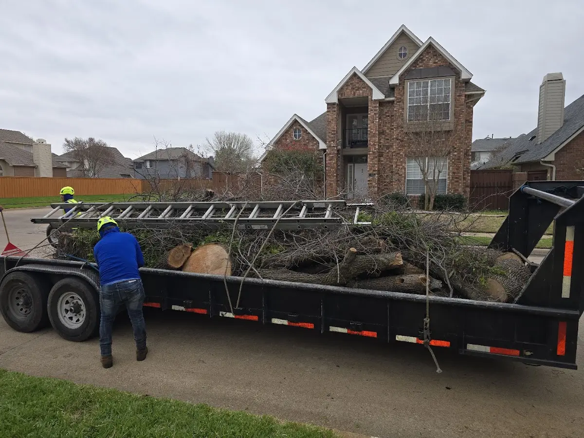 Expert Lot Clearing with proper safety equipment in Kulm